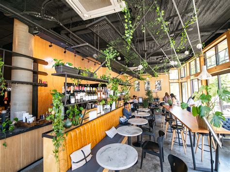 url coffee review  hill seattle  infatuation