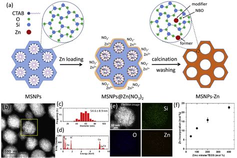 Figure From Biodegradable Zinc Containing Mesoporous Silica