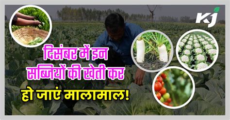 December Vegetable Farming दिसंबर महीने में इन सब्जियों की खेती कर