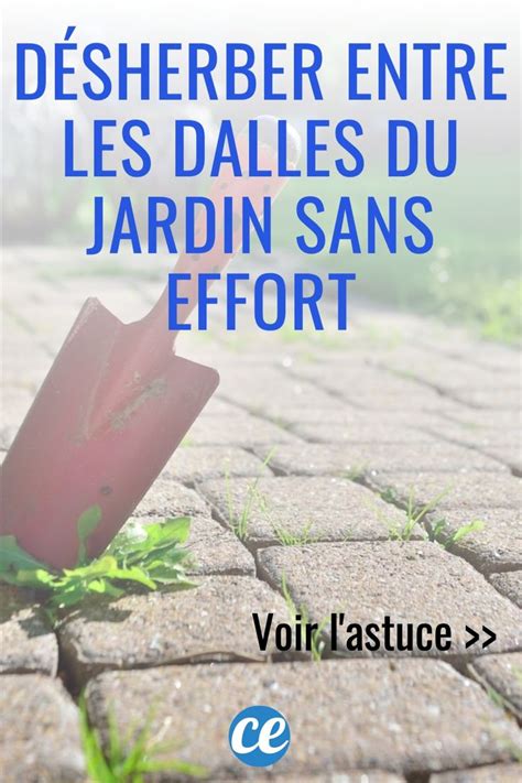 L Astuce Naturelle Pour Désherber Entre les Dalles du Jardin