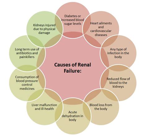 Kidney Treatment Om Pharma Ayur