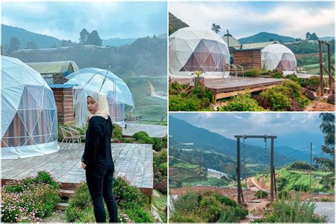 Tempat Penginapan Di Cameron Highland Tepung Pelita