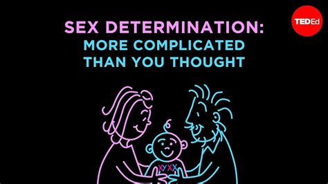 Beyond Xx And Xy Unraveling The Mysteries Of Sex Determination