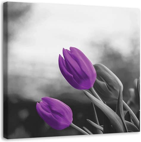 Feeby Obraz Fioletowe Tulipany Kwiaty Natura 30X30 Opinie I