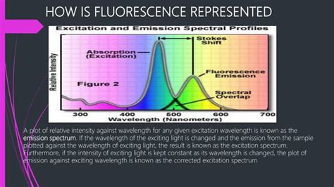 Principles And Application Of Fluorescence Spectroscopy Ppt