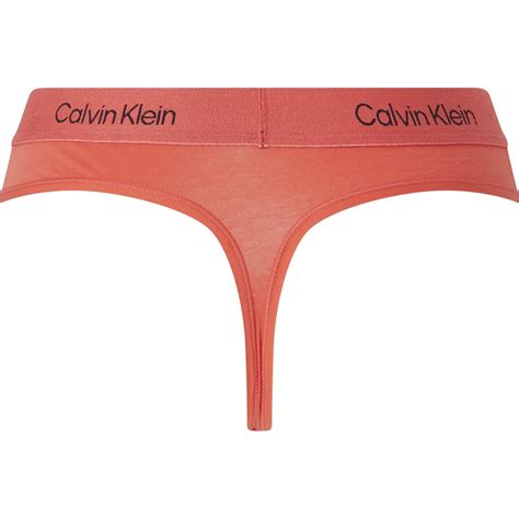 Calvin Klein 1996 Thong Thong Briefs