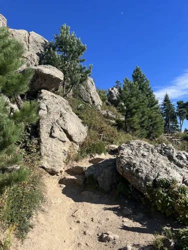 2023 Best Wild Flowers Trails In Hermosa AllTrails