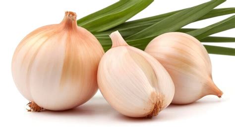 Premium Photo Onion Isolated On White