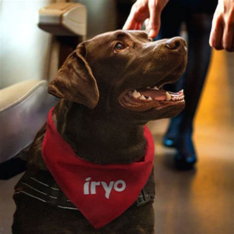 La Ruta Del Flysch Con Perro Zumaia A Deba Turismo Canino