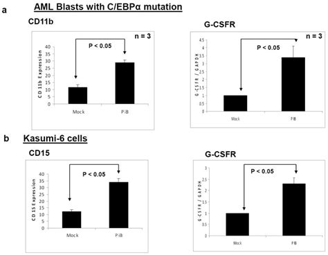 Elevated Pin Expression By C Ebpalpha P Blocks C Ebpalpha Induced