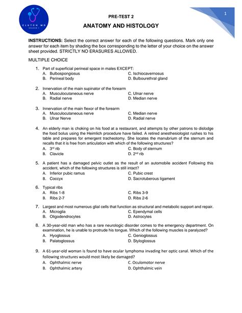 Solution Pretest Anatomy Studypool