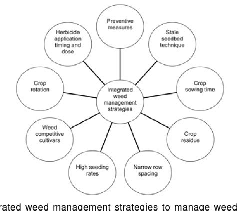 Pdf Role Of Integrated Weed Management Strategies In Sustaining