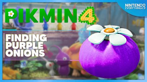 Where To Find The Purple Onion In Pikmin 4