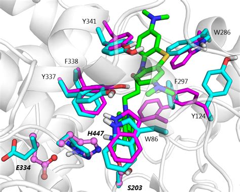 Protein Inhibitor Complex Obtained As A Result Of Induced Fit Procedure Download Scientific