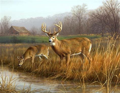 317 best images about Art - Wildlife - Deer on Pinterest | Deer art ...