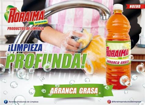 Lavaplatos Arranca Grasa Limpieza Profunda En Tus Platos