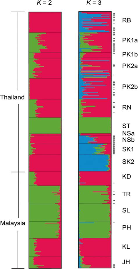 Structure Analysis Admixture Model Of Individuals Of B Dorsalis