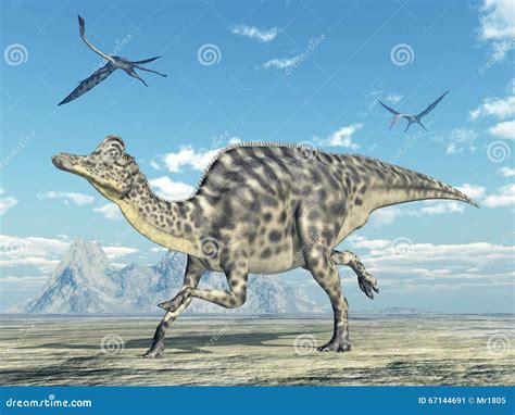 Dinosaur Velafrons On White Background Stock Illustration ...