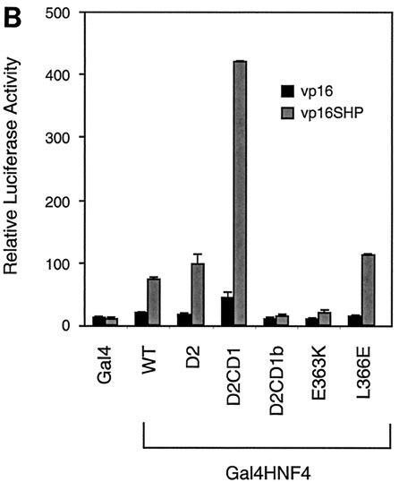 SHP Interacts With The AF 2 Surface Of HNF 4 A Gal4 HNF4 Constructs