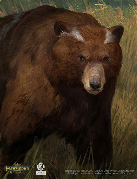 Brown Bear Art Bear Art Animal Companions