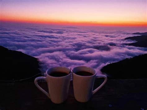 Lịch trình 2N1Đ check in mọi toạ độ hot nhất Tà Xùa iVIVU