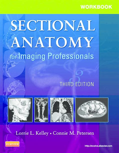 Pdf Workbook For Sectional Anatomy For Imaging Professionals