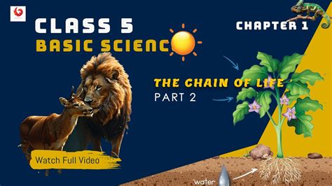 CLASS 5 BASIC SCIENCE CHAPTER 1 THE CHAIN OF LIFE PART 2 YouTube