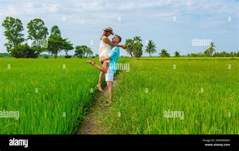 Green Rice Paddy Fields In Central Thailand Suphanburi Region Stock