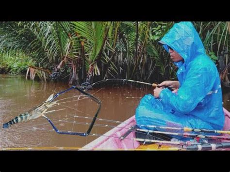 Udang Galah Disaat Musim Hujan Ketika Mancing Diguyur Hujan Seharian