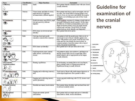 Case Study Sixth Nerve Palsy Optometric Management Ppt