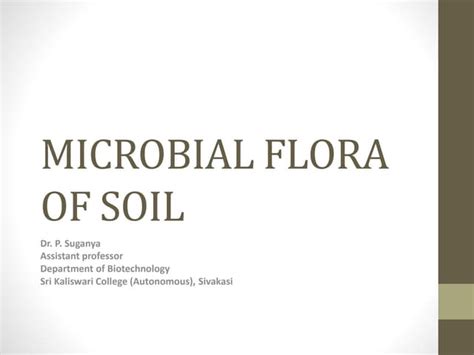 Microbial flora of soil | PPT