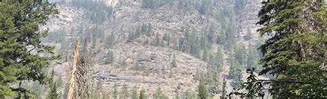 Tin Cup Creek Trail: 28 Reviews, Map - Montana | AllTrails