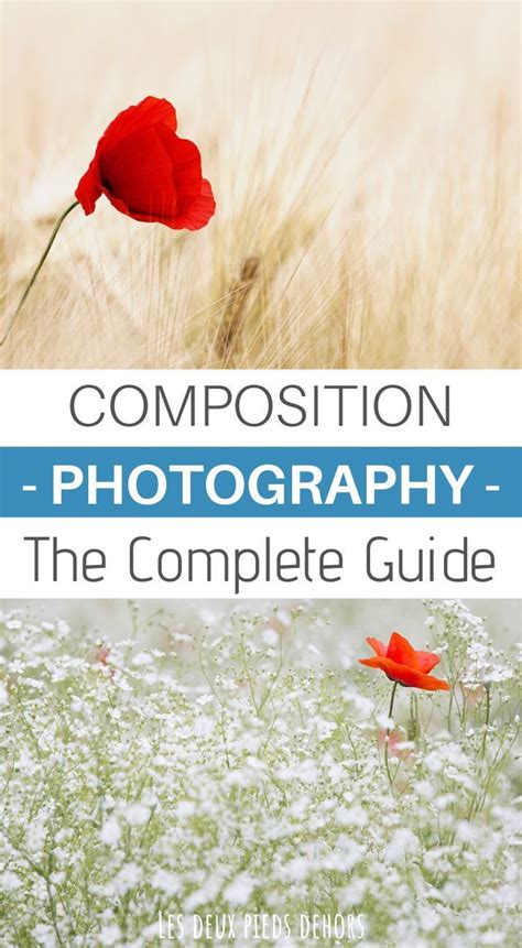 Beginners guide to Composition in photography - All you need to start ...