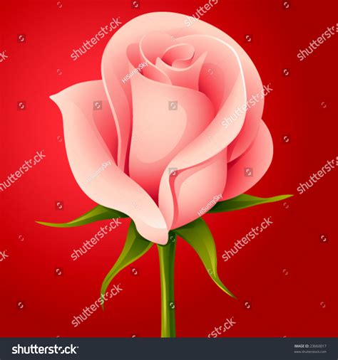 Vector Pink Rose Stock Vector Royalty Free 23660017 Shutterstock