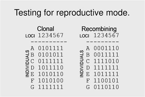 Ppt Microbial Reproductive Modes Fungal Reproduction Week 12 Pmb 220