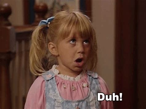 Michelle Tanner You Got It Dude Meme