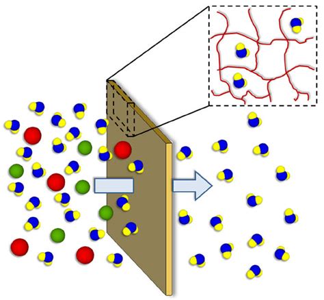 Schematic of polymer membrane