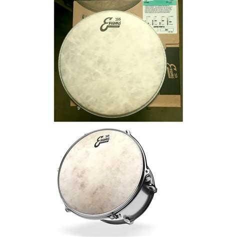 TT12C7 Evans Calftone Tom Batter Drumhead 12 Inches Thex Percussion