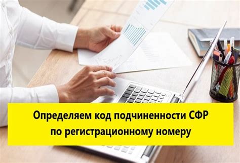 Код подчиненности СФР по регистрационному номеру в 2025 году: как узнать