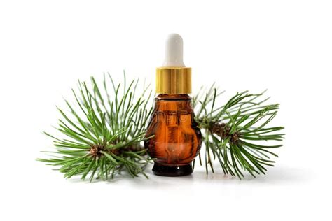 Pine Essential Oil Stock Image Image Of Essential Brown 19685401