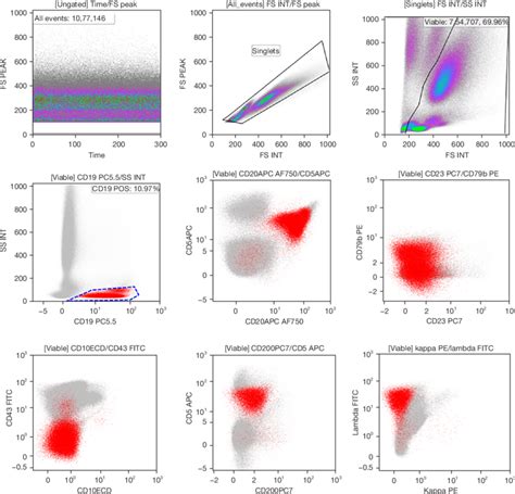 Flow Cytometry Of Bone Marrow Aspirate Gated Cd19 Positive Events 11