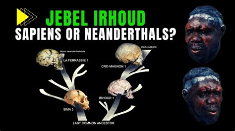 Jebel Irhoud Moroccan Fossils Really Homo Sapiens YouTube