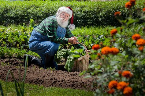 10 Great Christmas Ts For Gardeners This Holiday Season