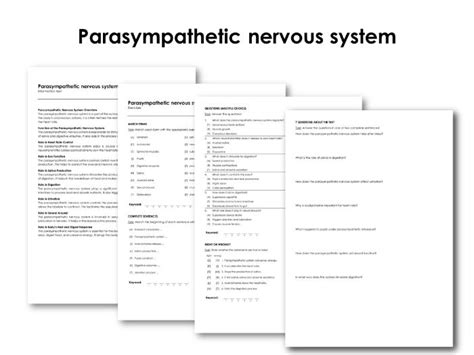 Parasympathetic nervous system | Teaching Resources