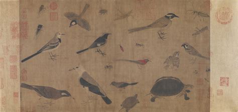 Huang Quan: Birds Sketched from Life | China Online Museum