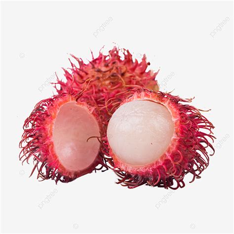 Rambutan PNG Transparent, Fresh And Delicious Rambutan, Rambutan, Fruit ...