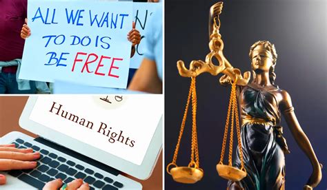 Basic Human Rights You Need To Know And Defend Lumina Homes