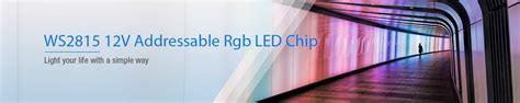 New 12v Individually Addressable Break Point Rgb WS2815 LED Witoptech