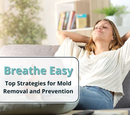 Breathe Easy Top Strategies For Mold Removal And Prevention