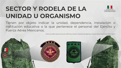 Sedena Esto Significan Las Insignias De Los Uniformes Militares